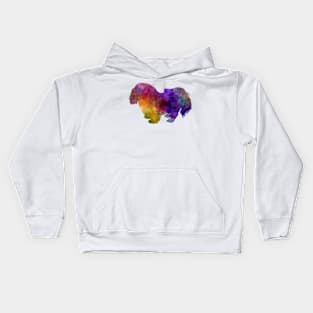 Penkingese in watercolor Kids Hoodie